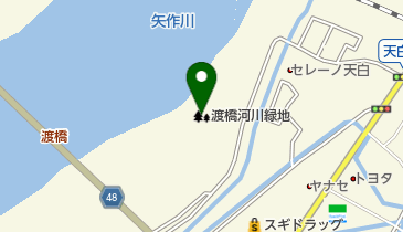 第10号渡橋河川緑地の地図画像
