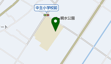 野洲市立中主小学校の地図画像