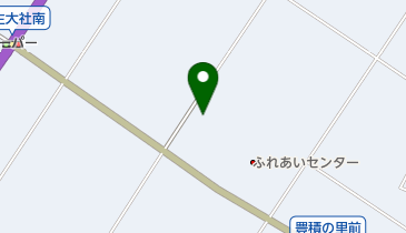 野洲市立中主幼稚園の地図画像