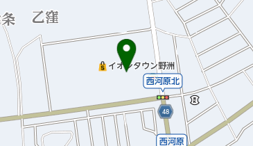 Sugakiya野洲イオン店の地図画像