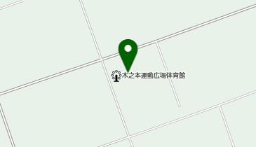 湖北THGツインアリーナの地図画像