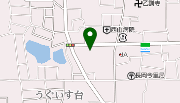 ケアーズドラッグ長岡今里店の地図画像