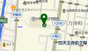 私立大阪夕陽丘学園短期大学の地図画像