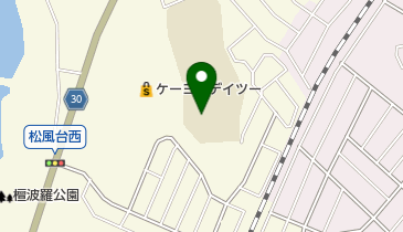 泉佐野市立新池中学校の地図画像