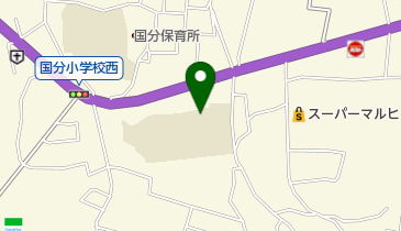 柏原市立国分中学校の地図画像