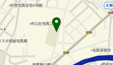 大阪市立大東小学校の地図画像