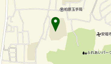 柏原市立玉手小学校の地図画像