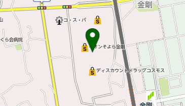 イオンそよら金剛の地図画像