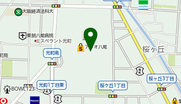 ビックカメラアリオ八尾店の地図画像