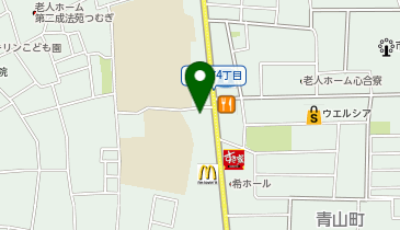 ダイソー八尾高美店の地図画像