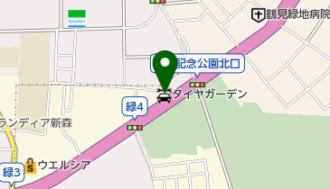 タイヤガーデンカツヤマの地図画像