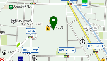 サイゼリヤアリオ八尾店の地図画像