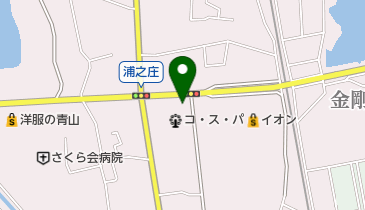 大起水産金剛店の地図画像