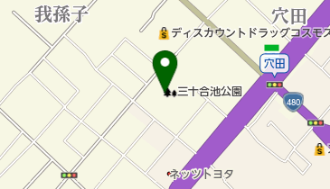 泉大津市三十合池公園運動場の地図画像