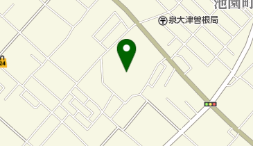 泉大津市古池公園運動場の地図画像