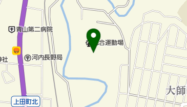 河内長野市立大師総合運動場の地図画像