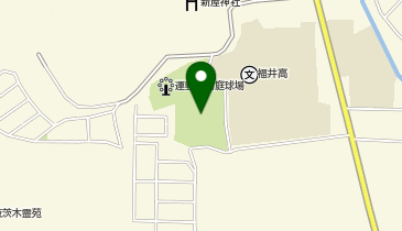福井運動広場グラウンドの地図画像