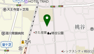 桃谷野球場の地図画像