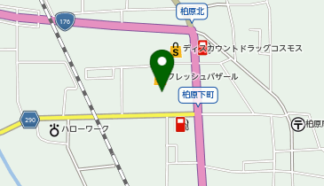 ダイソー柏原パーク店の地図画像