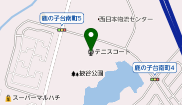 掖谷公園テニスコートの地図画像