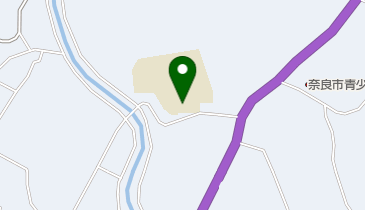 奈良市立興東館柳生中学校の地図画像