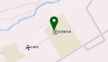 私立初芝橋本中学校の地図画像