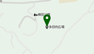 横田公園多目的広場の地図画像