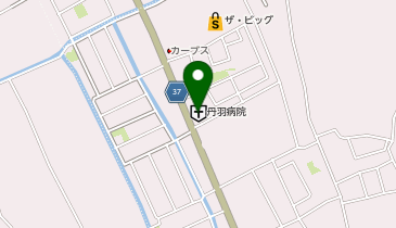 医療法人国泰会丹羽病院の地図画像