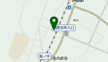 きてみん祭の地図画像