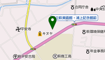 クスリ岩崎チェーン萩ひやこ店の地図画像