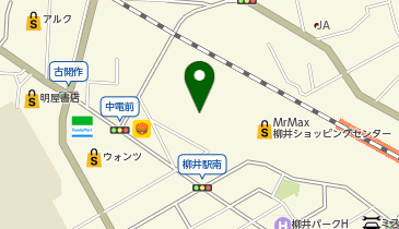 CoCo壱番屋ミスターマックス柳井店の地図画像