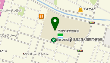 私立徳島文理大学短期大学部の地図画像