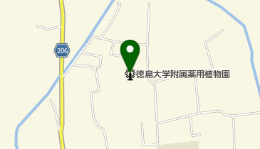 徳島大学薬学部附属薬用植物園の地図画像