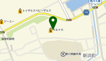 ダイソーパワーシティ丸亀店の地図画像