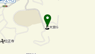 大宮ゴルフセンターの地図画像