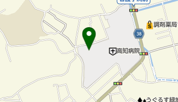 高知県立高知江の口特別支援学校国立高知病院分校の地図画像