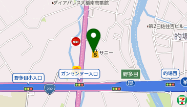 サニー向新町店の地図画像