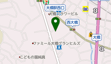 ドラッグ新生堂南大橋店の地図画像
