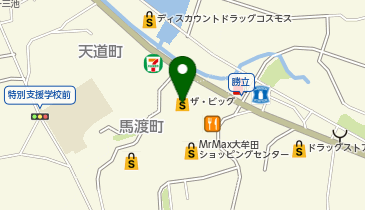 ザ・ビッグ大牟田店の地図画像