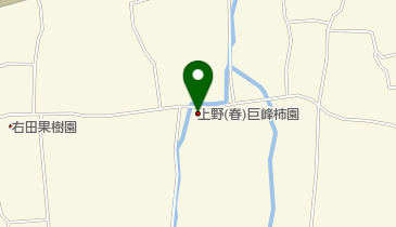 上野(春)巨峰柿園の地図画像