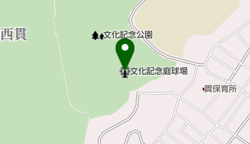 文化記念庭球場の地図画像