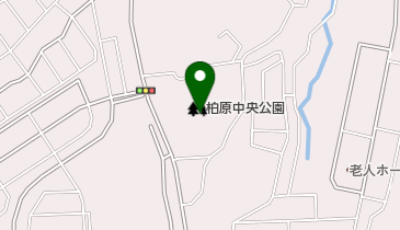 柏原中央公園野球場・ソフトボール場の地図画像