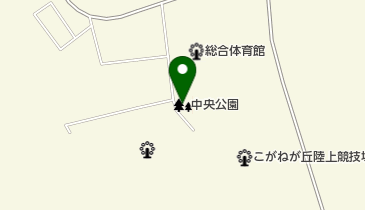 中央公園の地図画像