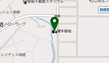 藤木緑地の地図画像
