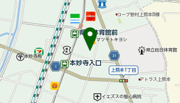 イワサキACE上熊本店の地図画像