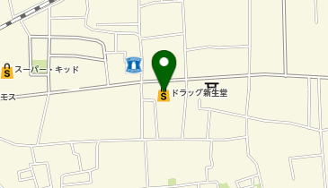 ドラッグ新生堂国府店の地図画像