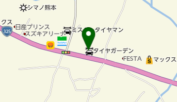 タイヤガーデンヨコハマタイヤネットワークサービス九州山鹿店の地図画像