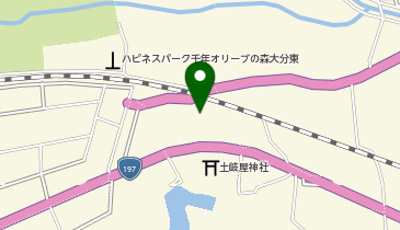 ホームプラザナフコ坂ノ市店の地図画像