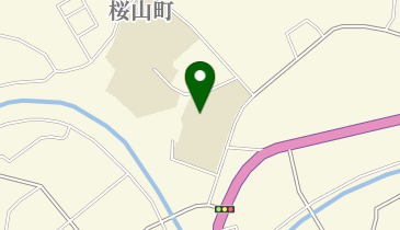 枕崎市立桜山小学校の地図画像