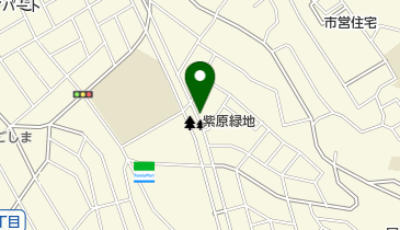 鹿児島女子短期大学付属かもめ幼稚園の地図画像